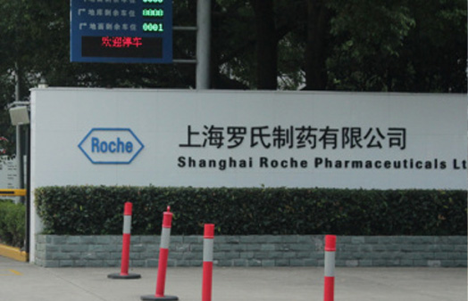 上海罗氏制药