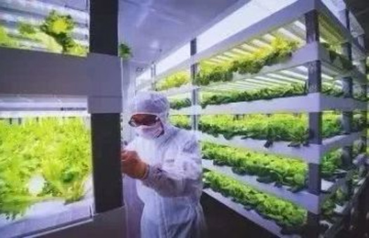 福建中科生物股份有限公司-温湿度控制柜